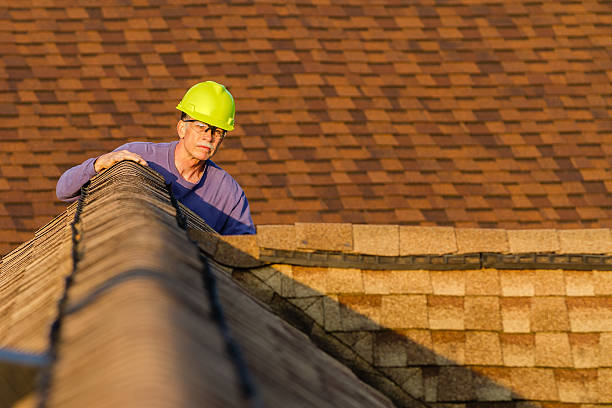 Roof Gutter Cleaning in Cokato, MN