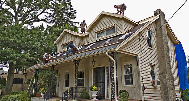 Best Flat Roof Repair Services  in Cokato, MN