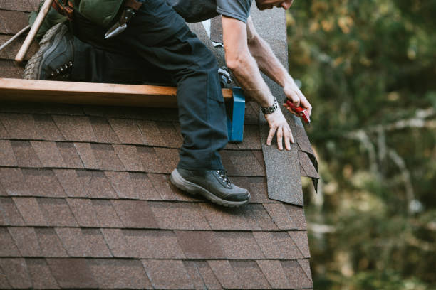 Professional Roofing Contractor in Cokato, MN